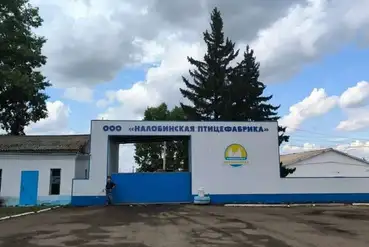 Красноярск | ООО "Налобинская птицефабрика" | RU034820